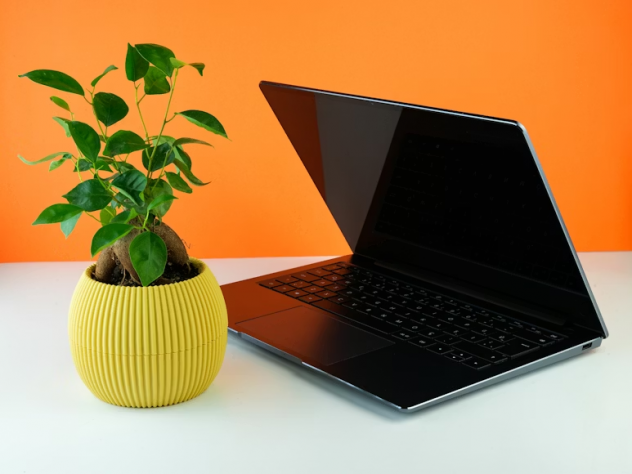 DATA ENTRY