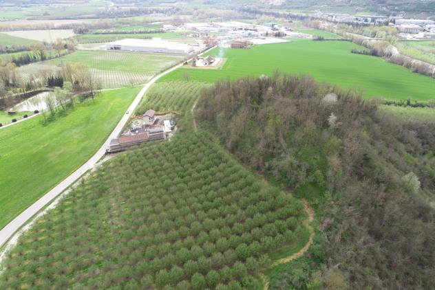 Agricolo in vendita a Cherasco - Foto 4