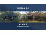Immobile in asta di 15875 m² in vendita a Rizziconi