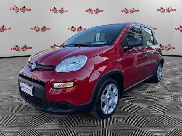 FIAT Panda Panda 1.0 firefly hybrid 70cv 5 POSTI, PRONTA CONSEGNA! - Foto 3