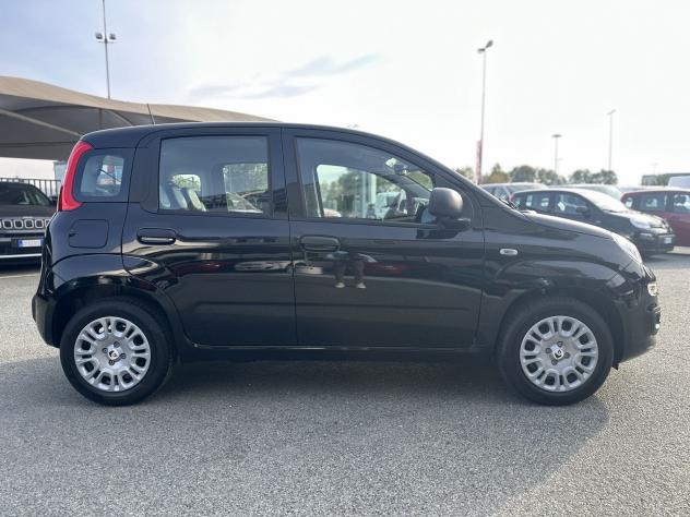 FIAT Panda Panda 1.0 FireFly S&S Hybrid - Foto 8