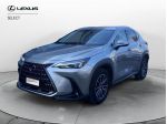 Lexus NX Hybrid 4WD Premium