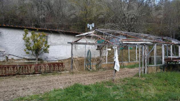 Alassio, terreno di circa 6.000 mq. con progetto per costruire una villa. - Foto 9