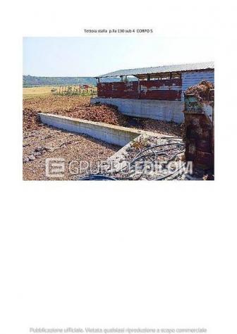 Terreno in vendita a Pisticci - Rif. 4541966