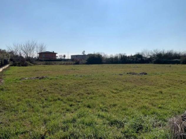 Immobile in asta di 2396 m² in vendita a Saonara - Foto 4