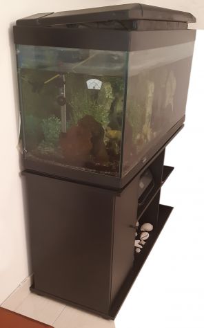 Acquario usato 340 litri (125x62x49) + mobile (125x71x49) - Foto 2