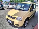 FIAT Panda 2ª serie Panda 1.2 4x4 Climbing