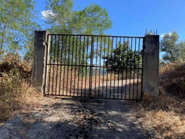 Immobile in asta di 27621 m² in vendita a Galatro - Foto 8