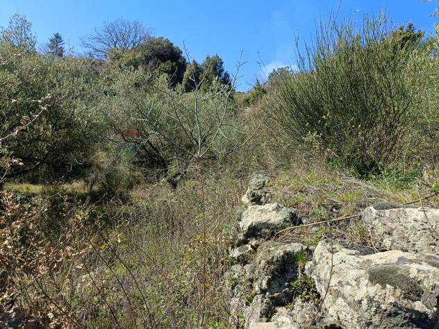 Terreno in vendita a Piedimonte Etneo - Foto 4
