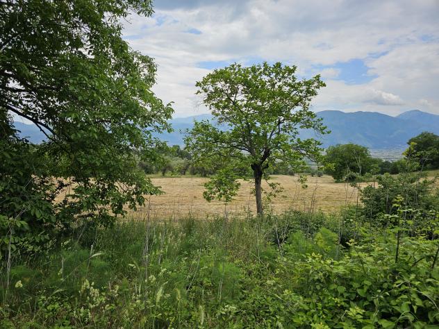 Casa di campagna in Mario Ricciardi - Foto 19