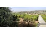 Agricolo in vendita a Siracusa