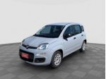 FIAT Panda Panda 1.0 FireFly Hybrid rif. 23779157