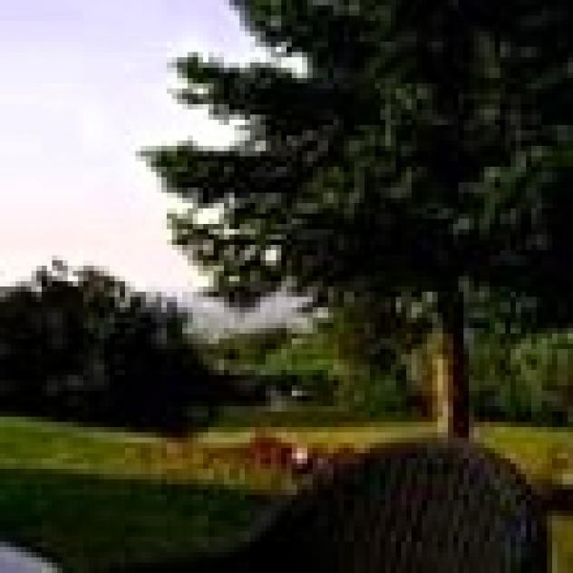 Bed And Breakfast Romy Rocker - Foto 4