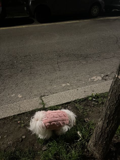 Ciao a tutti Sto cercando una stanza singola Milano a partire giugno - Foto 3