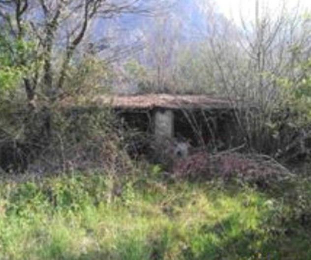 Immobile in asta di 3170 m² in vendita a Brienno - Foto 8