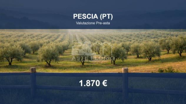 Immobile in asta di 10477 m² in vendita a Pescia