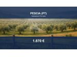 Immobile in asta di 10477 m² in vendita a Pescia
