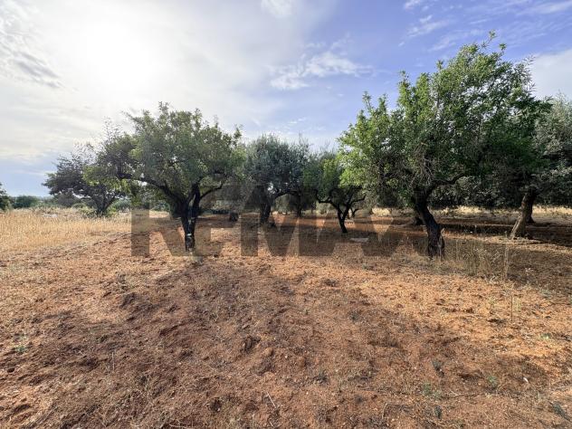 Terreno in vendita a Comiso, Centro - Foto 2