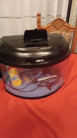 Acquario - Foto 2