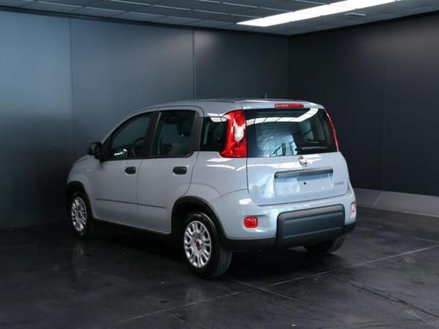 FIAT Panda 1.0 FireFly S&S Hybrid rif. 23905445 - Foto 5