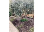 Appartamento in Affitto in zona STATUTO con giardino