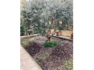Appartamento in Affitto in zona STATUTO con giardino