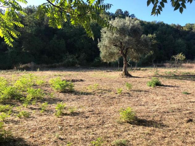Casa di campagna in Via Caselle - Foto 15