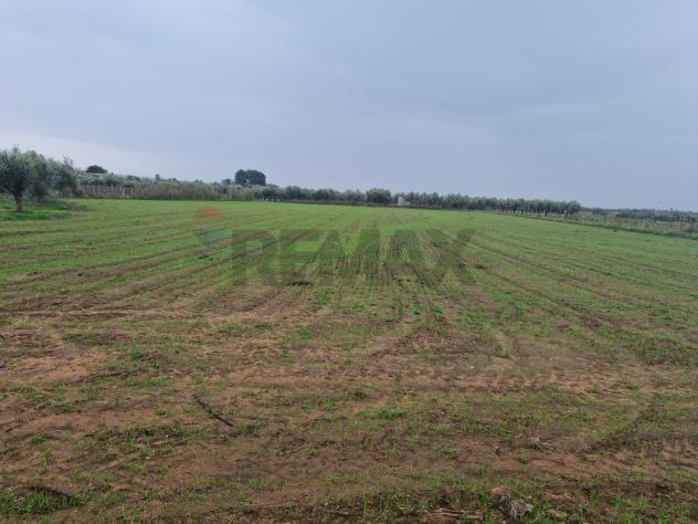 Terreno in vendita a Vittoria - Foto 4