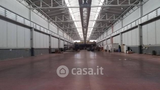 capannone in affitto a Collesalvetti in zona Guasticce