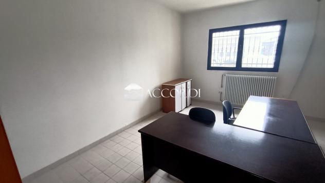 CAPANNONE di 3 vani e di 3025 mq (PEDEROBBA) rif. BL012 - Foto 5