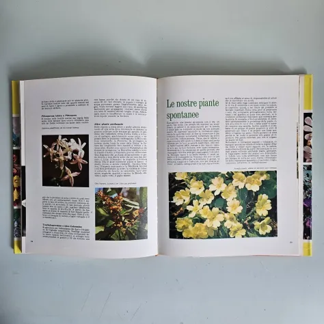 Terrazze e Giardini - Guida Pratica al Giardinaggio - European Book - 1991 - Foto 3
