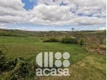 TERRENO AGRICOLO
