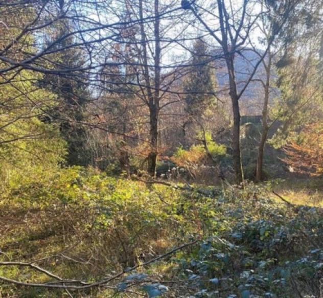 Immobile in asta di 19680 m² in vendita a Valganna - Foto 11