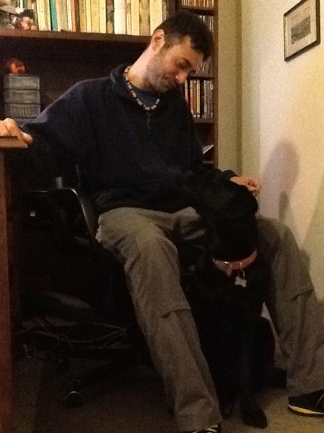 Dog/Cat sitter Roma - Foto 2