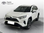 Toyota RAV4 2.5 HV (218CV) E-CVT Active 2WD