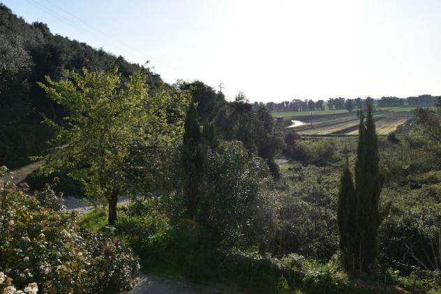 Terratetto in vendita a Filettole - Vecchiano 175 mq Rif: 1309103 - Foto 6