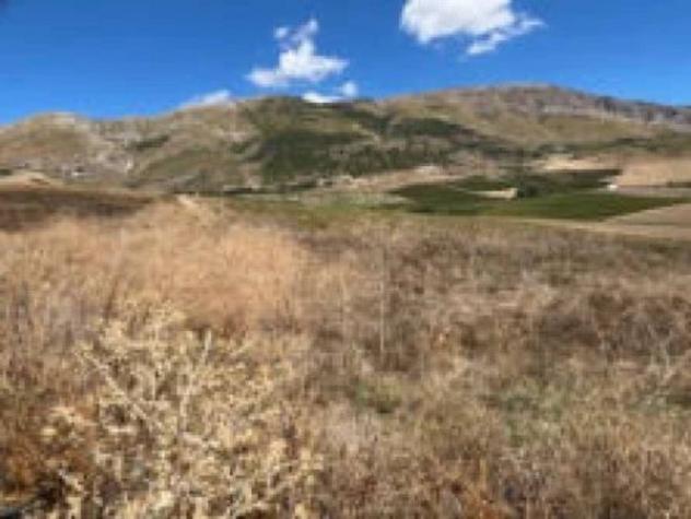 Immobile in asta di 118260 m² in vendita a Monreale - Foto 3