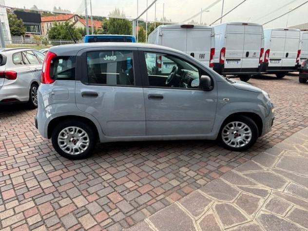 FIAT Panda 1.0 FireFly S&S Hybrid rif. 24163427 - Foto 4