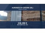 Immobile in asta di 1146 m² in vendita a Auronzo di Cadore