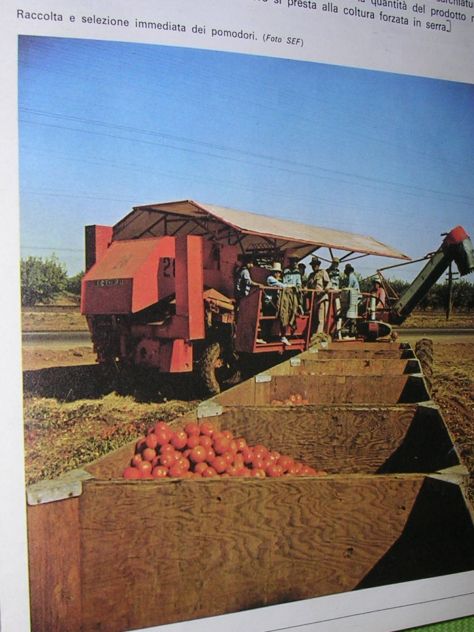 TECNICA OGGI - Foto 4