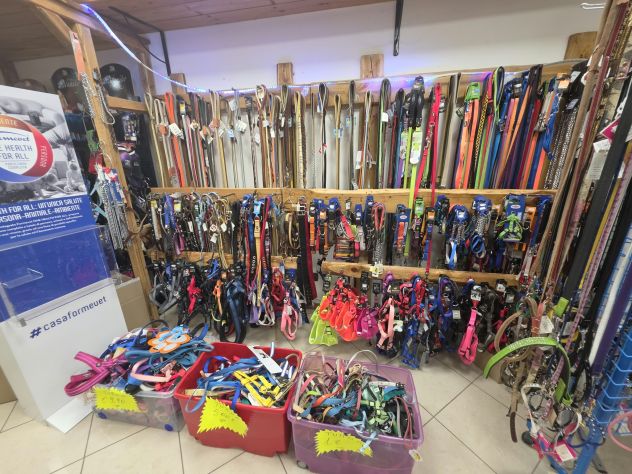 Cedesi attivita’ storica Pet Shop (dal 2005) Viterbo Via Falcone e Borsellino 27
