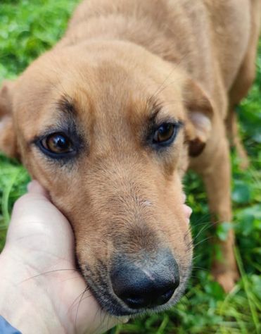 Matilde - Foto 2