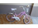 Bici bambina ruota 20 pollici