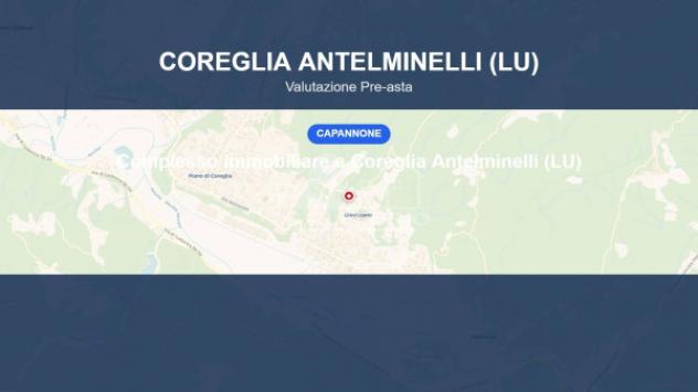 Immobile in asta di 2456 m² in vendita a Coreglia Antelminelli