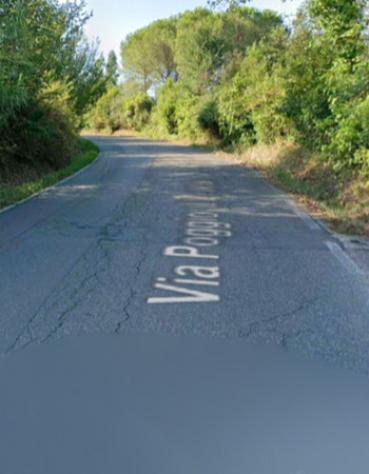 Immobile in asta di 501 m² in vendita a Fauglia - Foto 5