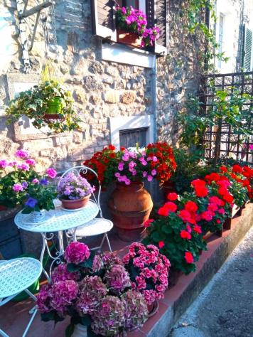Terratetto in vendita a Santa Luce 70 mq Rif: 1455163 - Foto 2