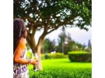Brh Best Resort & Hotel S.r.l.
