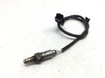 HONDA CBR RR ABS KM0 600 SONDA LAMBDA SENSORE OSSIGENO COLLETTORE MARMITTA 2024