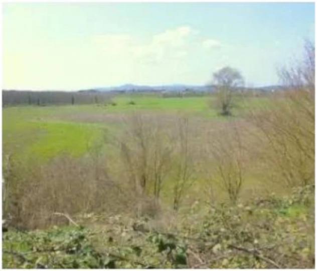 Immobile in asta di 30051 m² in vendita a Arezzo - Foto 3