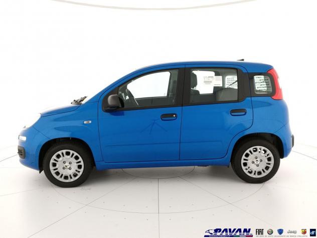 FIAT Pandina Panda 1.0 FireFly 65 CV Hybrid Icon - Foto 6
